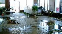 Flood Damage Mitigation In Tempe AZ image 5